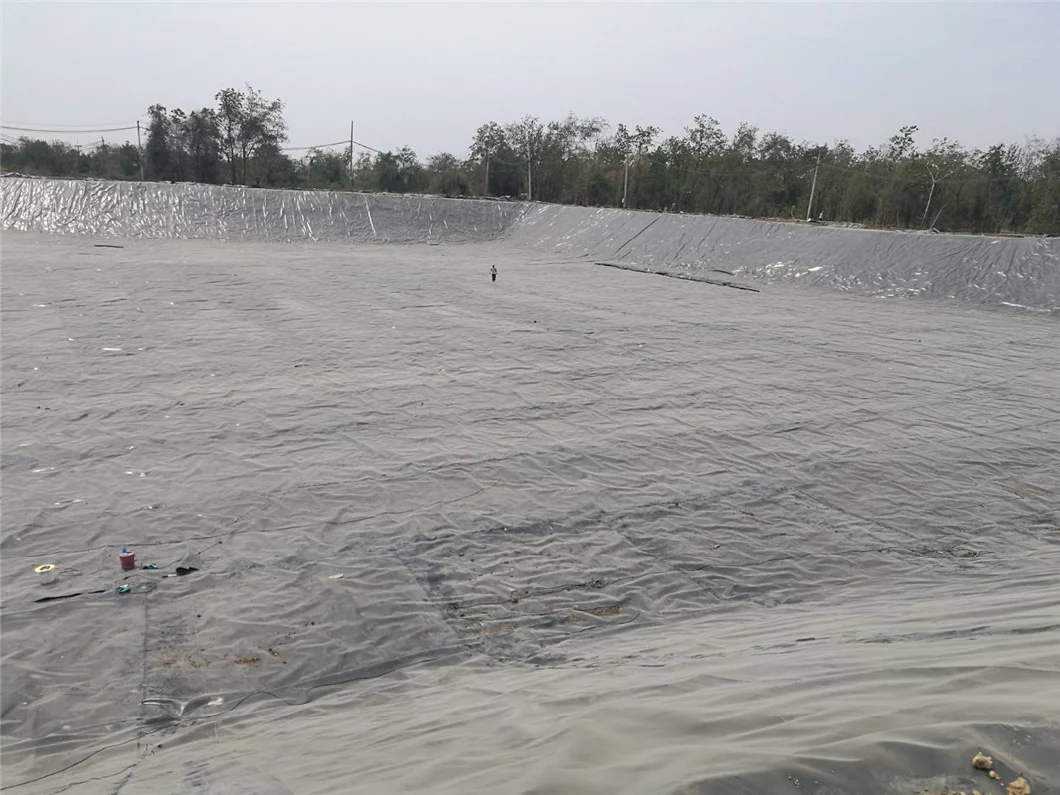 Gcl Geonet Geocomposite Geotextile HDPE Geomembrane for Pond Landfill Water Storage Tailings Mining Project