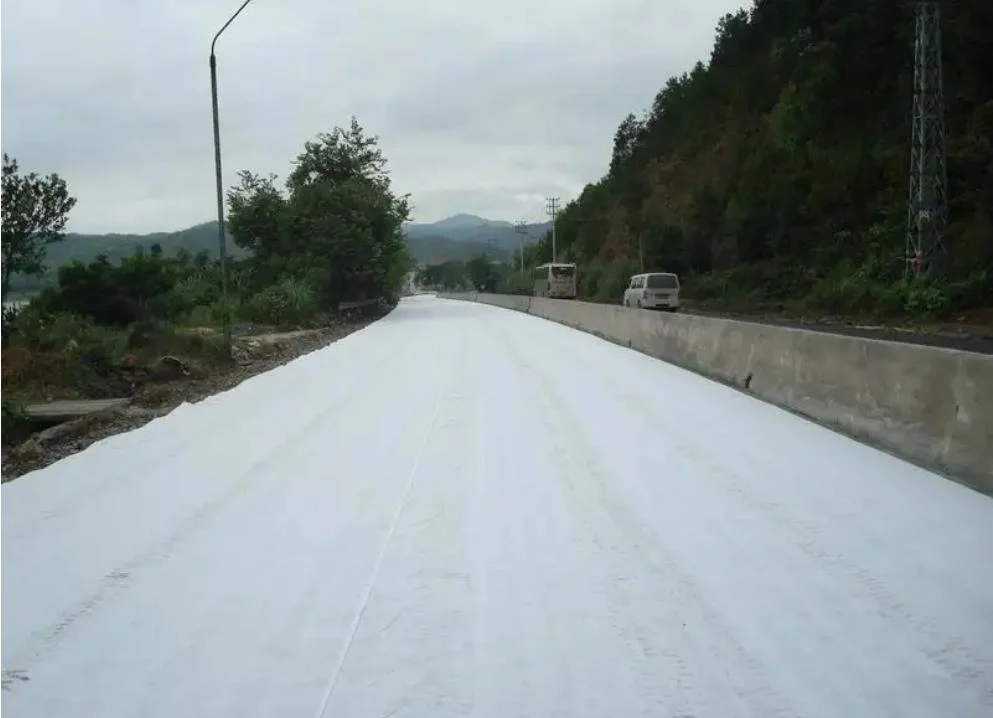 Polypropylene/Polyester Needle Punched Filament Geotextile Fabric Used for Road Construction with Geogrid