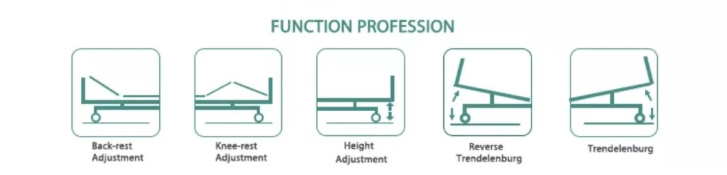 Used Remote Control Intensive Care Bed Adjustable Automatic Hospital Bed for Paralyzed Patients