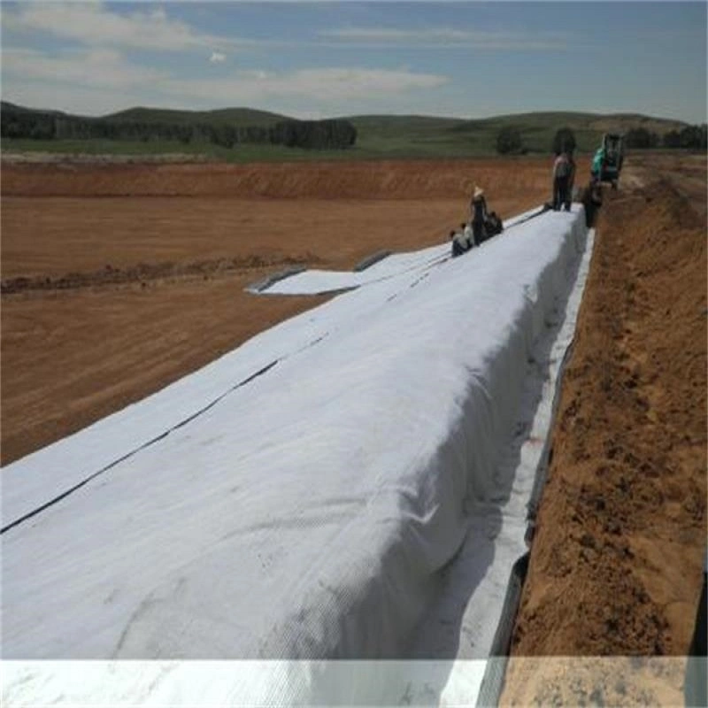 4500GSM 4800GSM 5000GSM Bentonite Geotextile Waterproof Building Material Gcl Geosynthetics Clay Liner for Landfill Seepage Control