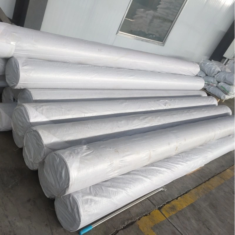 Filter Isolation PP Continuous Filament Geotextile Supplier for Highway Railway Road Construction 150g 200g 300g 500GSM 800g PP Long Fiber Non-Woven Geotextile