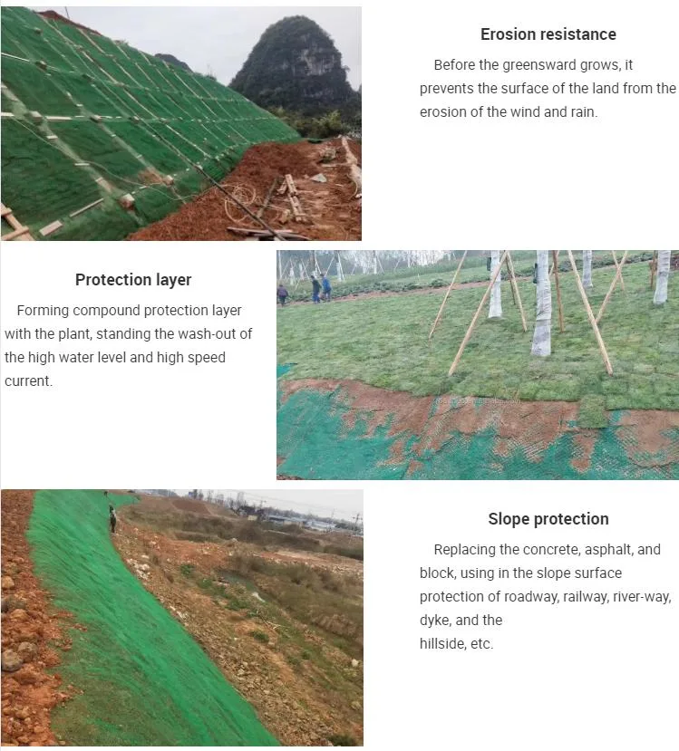 Mat Three -Dimensional Geomat Three Layers Plastic 3D Geomat for Slope Erosion Control Reinforcement Project Em5
