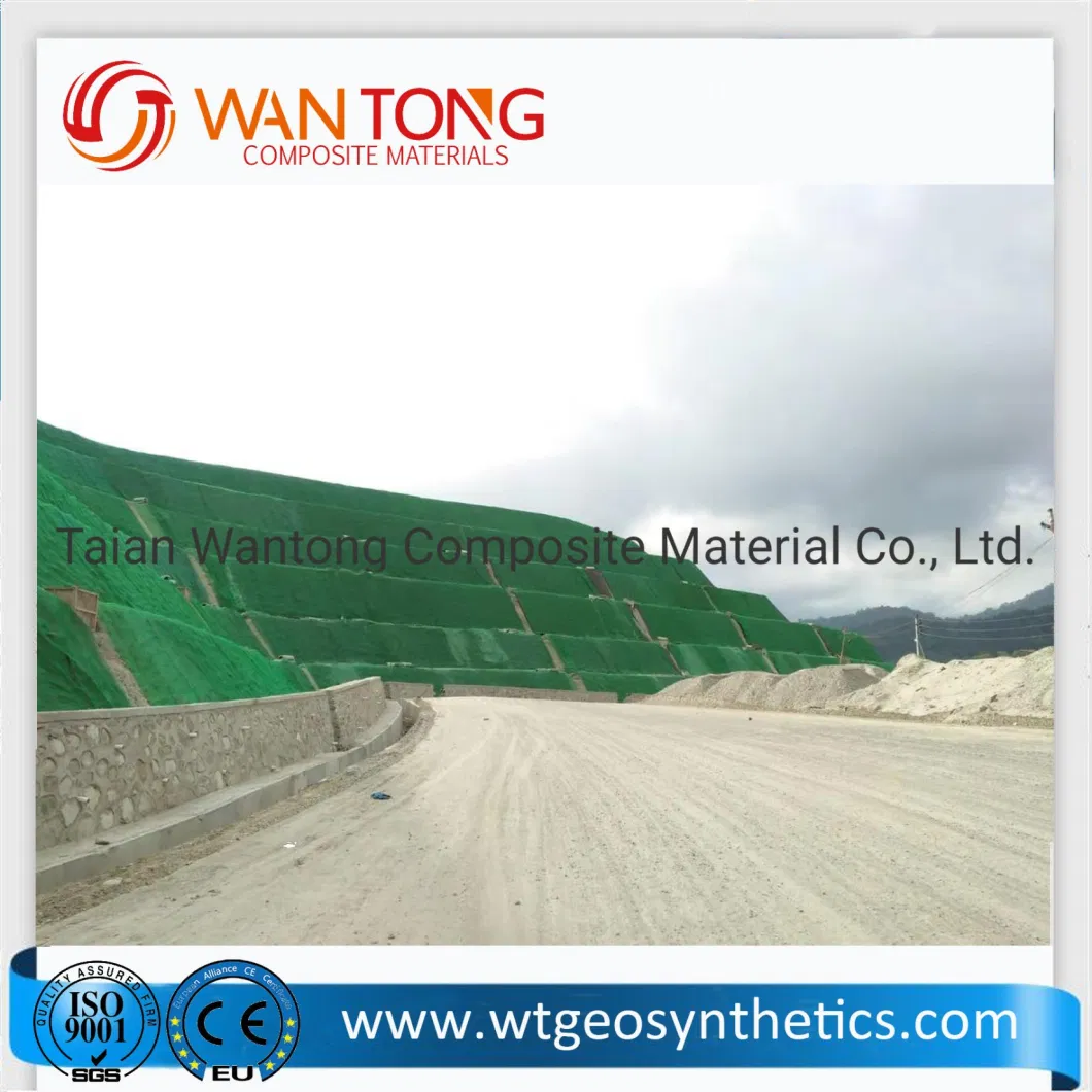 3D Geomat Erosion Control Mat and Plastic Geomat in Philippine