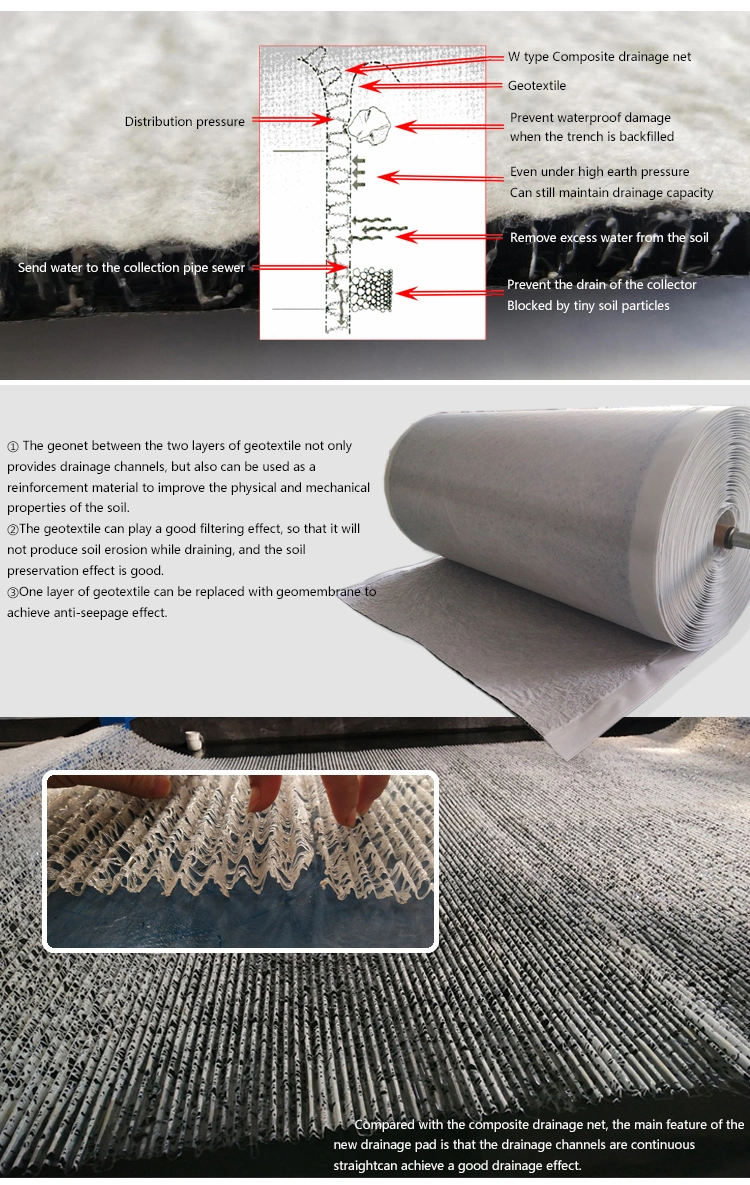 Reinforcement HDPE Woven Composite Geogrid Building Material Geotextile Drainage Geonet