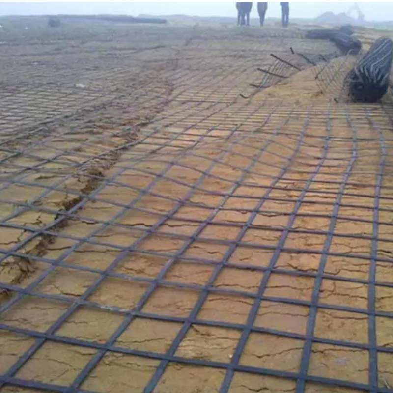 Steel Plastic Geogrid, Composite Geogrid, Reinforcement Geogrid