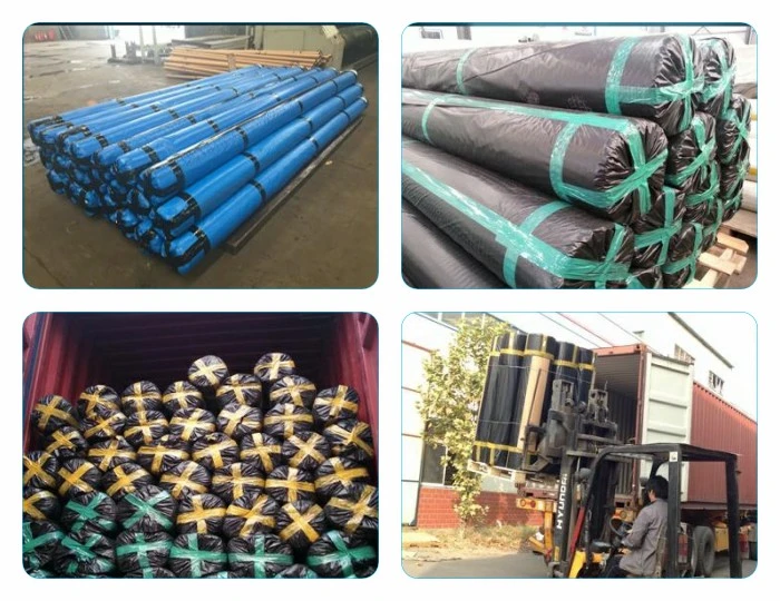 Factory Whosale Biaxial Plastic Geogrid for Coal Mine Road Railway Highway
