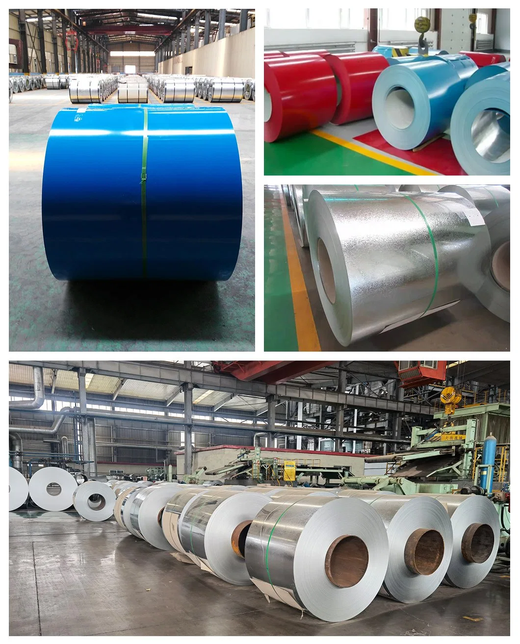 PPGI CGCC SPCC SGCC DC51D DC52D DC53D DC54D Pre-Painted Galvanized Steel Coil for Manufacturer