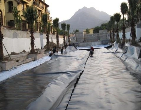 ASTM Standard HDPE Geomembrane with Two Side Geotextile