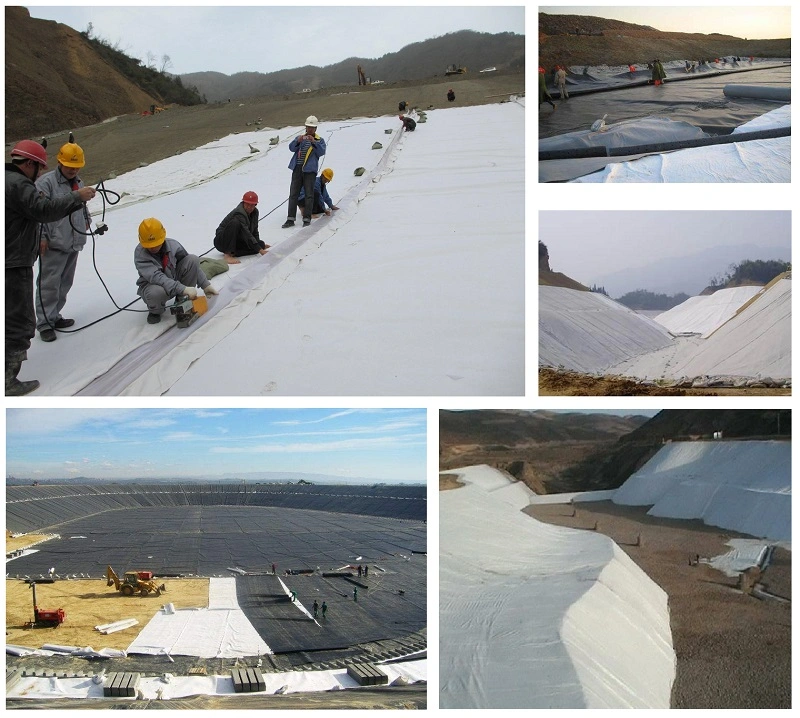 White Color One Membrane Two Geotextile Composite Geomembrane