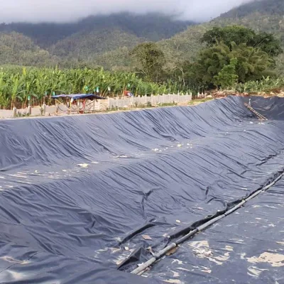 Mayorista 100% virgen de polietileno de alta densidad Anti-filtración suave impermeable Texturizada HDPE Geomembrana para la presa de la minería del terraplén Water Lake Pond Liner Precio
