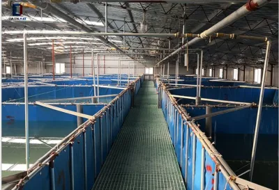 Geomembrana HDPE Camisa del estanque de peces de agua de riego para la Agricultura Dam precio de fábrica