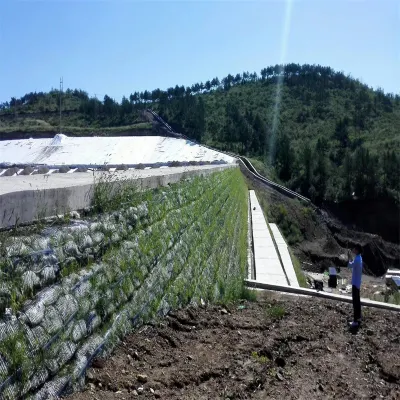 Geogrid plástico uniaxial para la explotación de aves de corral de la minería de carreteras
