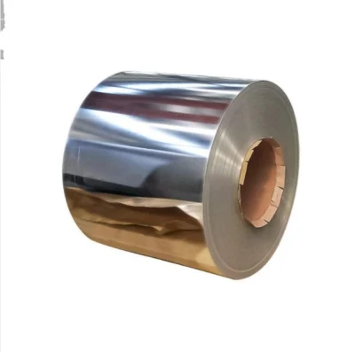 Ss 316L/317L/304/409/309S ASTM laminadas en caliente laminado en frío de la placa de acero inoxidable/hoja/bobina/Strip los fabricantes a bajo precio de la bobina de acero inoxidable