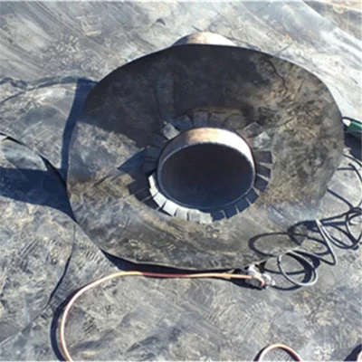 0,3mm/0,8mm/1,2mm/1,5mm/2mm Vannamei Cata de gambas Granja HDPE Geomembrane Dam Liner in Chile/Perú/Dominica/Nicaragua/Camboya