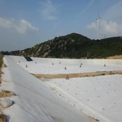 La filtración y aplicaciones de drenaje de filamentos de animales de compañía de ferrocarriles de la separación de lastre Nonwoven Geotextile
