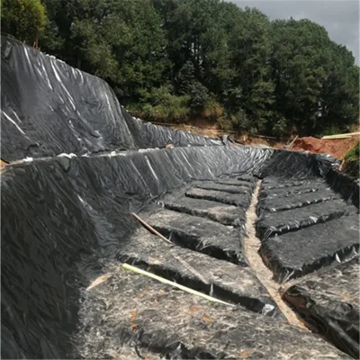 0,3mm/0,8mm/1,2mm/1,5mm/2mm Vannamei Cata de gambas Granja HDPE Geomembrane Dam Liner in Chile/Perú/Dominica/Nicaragua/Camboya