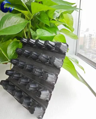 Anhui Chuangwan nuevos materiales que retienen drenaje de pared drenaje de hojas de malla drenaje Junta