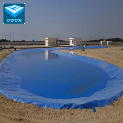 Película azul HDPE Geomembrana para presa/vertedero/Lago/biogás/Minería/pescado/Camarones Granja Liguero Fabricante Precio