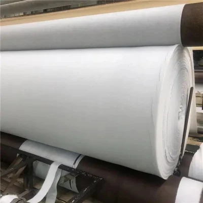 Tejido de poliéster de alta calidad Non-Woven Geo-Textile para vender