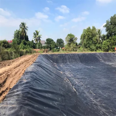 La hendidura de la junta de plástico de HDPE Drenaje alfombrilla para el jardín del tejado 2,0 mm