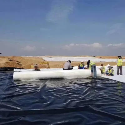 Precio HDPE Geomembrana para la presa Fish Farm Pool Liner