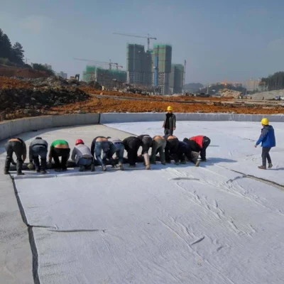 250 gsm geosintéticos empresas Geotextile tejida para refuerzo de las carreteras en Indonesia