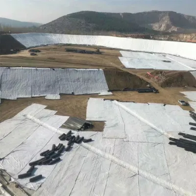 Tela Geotécnica/tela geotextil de alta resistencia para la ingeniería civil