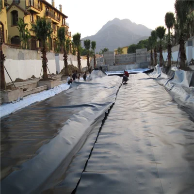 0,2 mm 0,5 mm 1,0 mm 1,5 mm 2mm 3mm de alto límite elástico impermeable negro HDPE LDPE EPDM geomembrana de PVC Precio de la membrana de la piscina del estanque para peces Embalse Camisa del vertedero