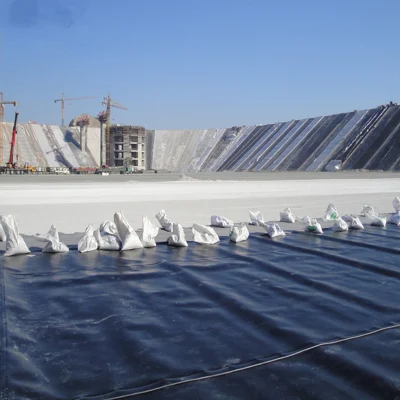 China PEAD/LDPE/PVC/EV/PE/ECB/Geomembrana compuesta Fabricante de Acuicultura/pescado/Camarones/Pond/Dam/vertedero/Minería/SAL/Tavillador/Reserva