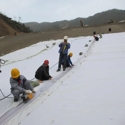 Fábrica de Tejidos Geotextiles filamento PP Geotextile Geotextile Membrana para la venta