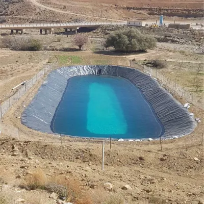 Personalizar geomembrana de PVC de HDPE de diferente tipo de estanque de impermeabilización revestimiento revestimiento de la presa de la membrana Geotextile