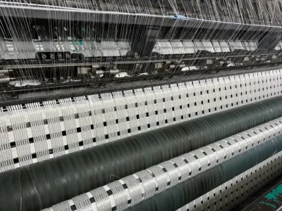 Hi Strength Warp punto mascota Biaxial Geogrid Uniaxial para carretera Construcción de paredes de retención refuerzo de suelos fiable Geogrid Proveedor