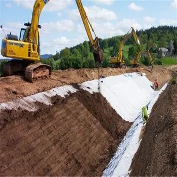 El PP no tejida Geotextile Pet Geomembrana para vertederos Project