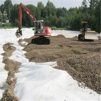 El PP no tejida Geotextile Pet Geomembrana para vertederos Project