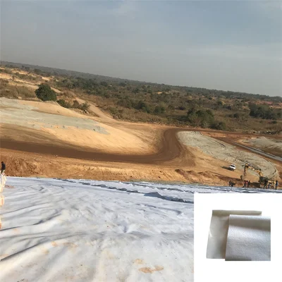 Material impermeable Geotextile Geomembrana de tejido de la carretera a la venta