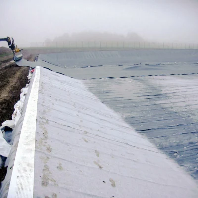 La construcción de carreteras de la aguja no tejido no tejido de polipropileno perforado Geotextile mejor precio