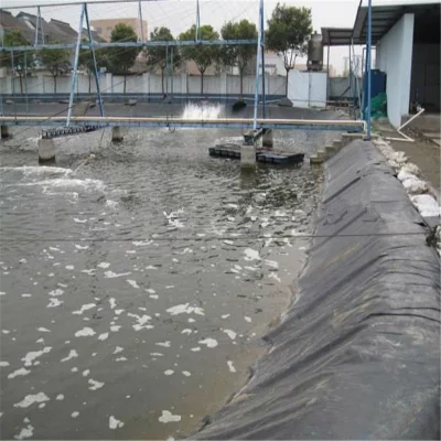 Mejor Precio 40/60/80 Mils HDPE Fish Farm Pond Liner for Mercado de Malasia