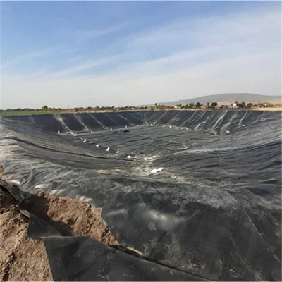 0,3mm/0,8mm/1,2mm/1,5mm/2mm Vannamei Cata de gambas Granja HDPE Geomembrane Dam Liner in Chile/Perú/Dominica/Nicaragua/Camboya