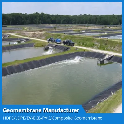 China HDPE Geomembrana Fabricante de Jardinería/Lagos artificiales/Ríos/embalses/impermeable y verde a prueba de humedad Lawnst