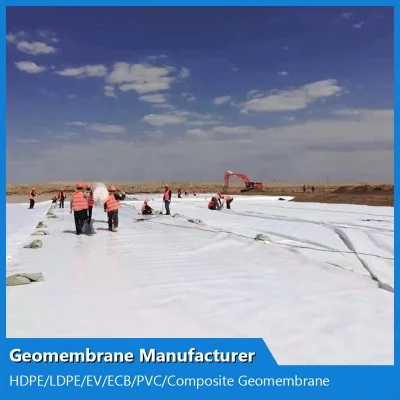 China HDPE Waterproof Composite Geomembrane Factory/Supplier/Wholesale for Chemical Industry