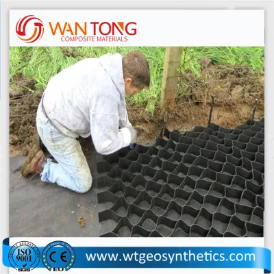 Proyecto Riverway/Sistema/tierra de la pared de Mse Turf Grid/Celda Geocell adoquines