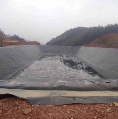 Precio HDPE Geomembrana para la presa Fish Farm Pool Liner
