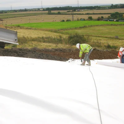 Proveedor chino de filamento continuo Nonwoven Geotextile