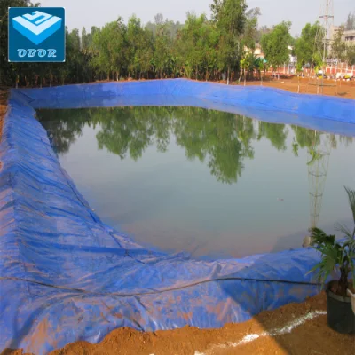 Película azul HDPE Geomembrana para presa/vertedero/Lago/biogás/Minería/pescado/Camarones Granja Liguero Fabricante Precio