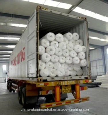 Los productos no tejidos / Tejidos Talla Geotextile Warp personalizado