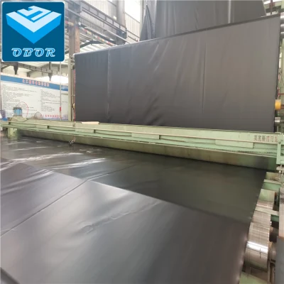 La construcción de carreteras de HDPE estándar ASTM Geomembrana compuesto