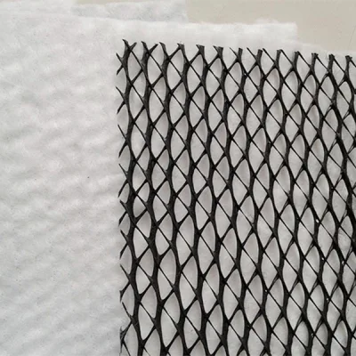 HDPE 3D Geonet compuesto Precio