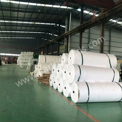 Blanco de alta resistencia de tamaño personalizado no tejido de poliéster Geotextile perforado de aguja para la construcción de carreteras