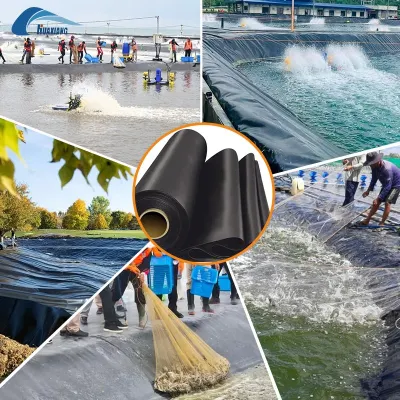Fish Farm Pond Liner HDPE Geomembrane China Fabricante 2mm HDPE Geomembrana
