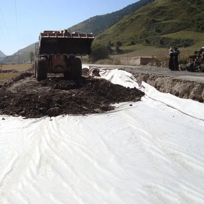 Tela Geotécnica/tela geotextil de alta resistencia para la ingeniería civil
